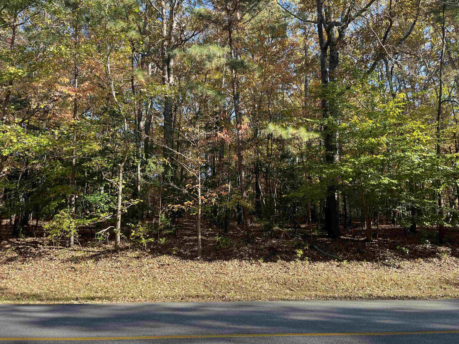 Property Photo:  1144 Sagamore Drive  NC 27549 