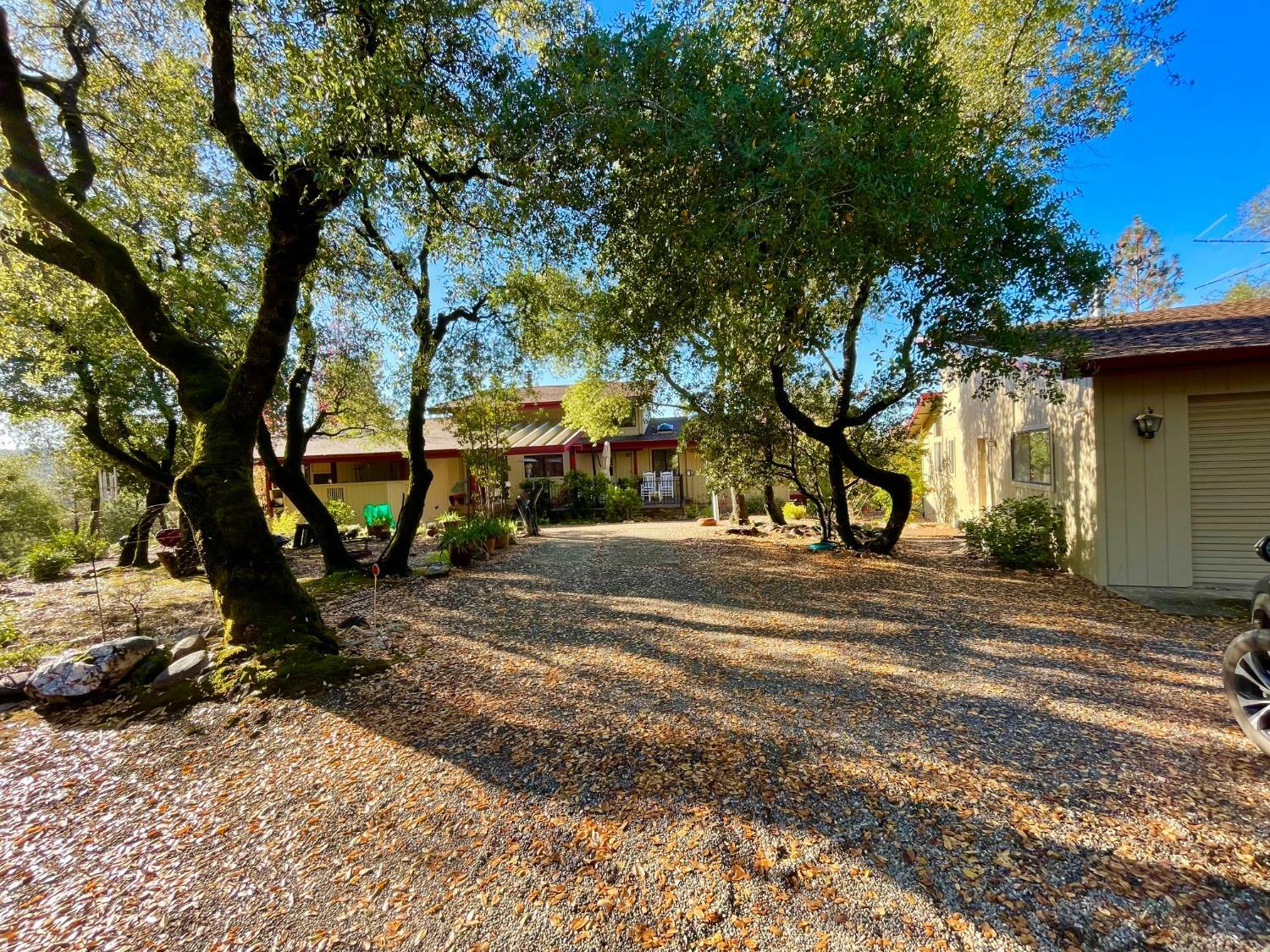 9870 Sheep Ranch Road  Mountain Ranch CA 95246 photo