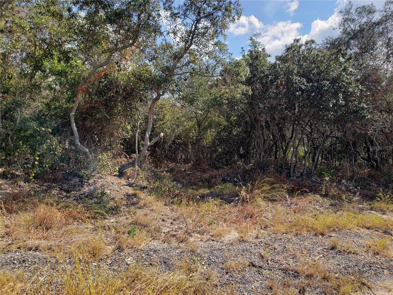 Property Photo: S Disston Avenue FL 34689