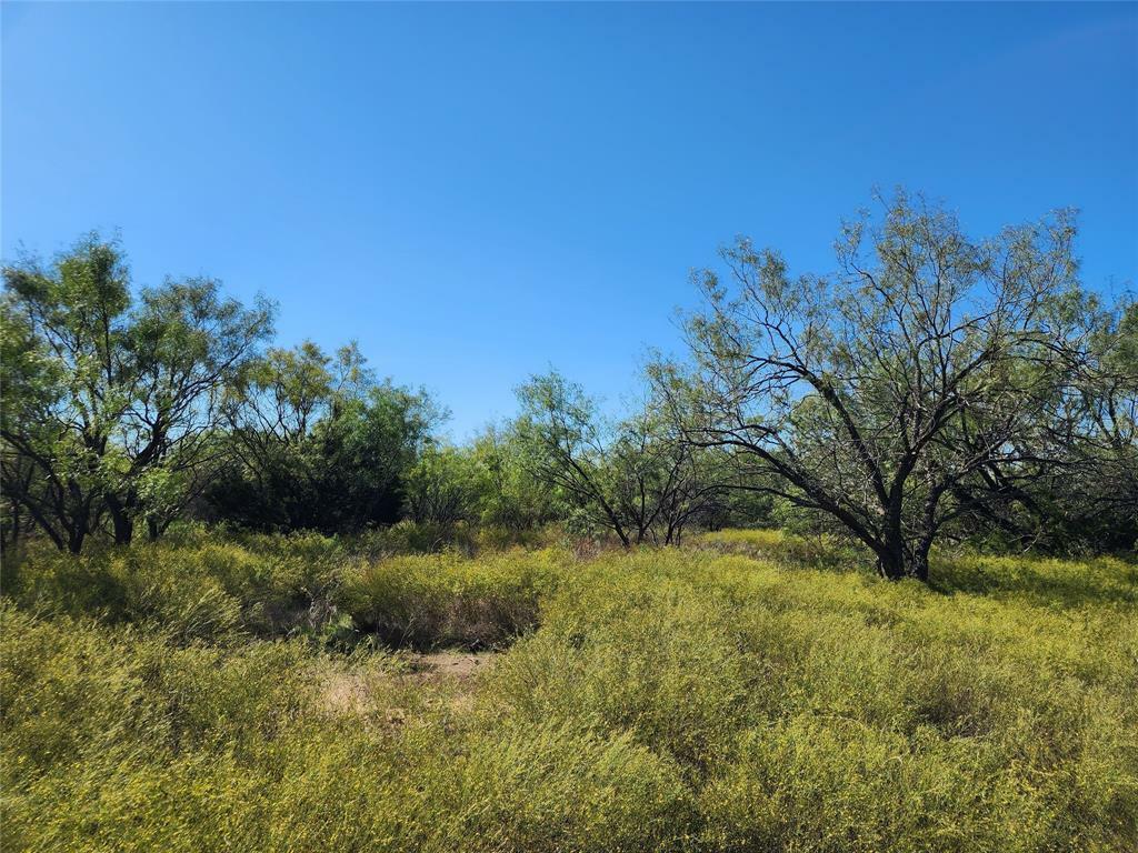 Property Photo:  Tbd County Road 132  TX 76801 