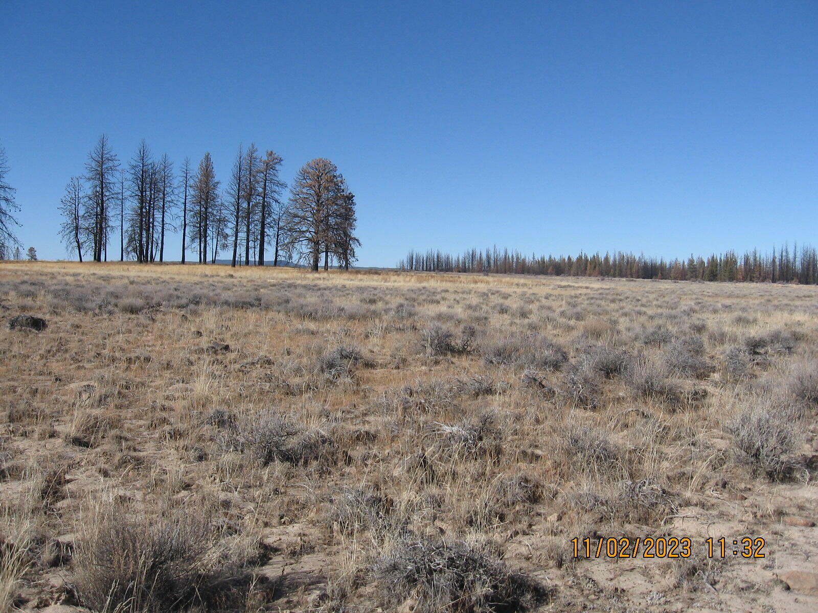 Property Photo:  Lot 14N White Oak Lane  OR 97622 