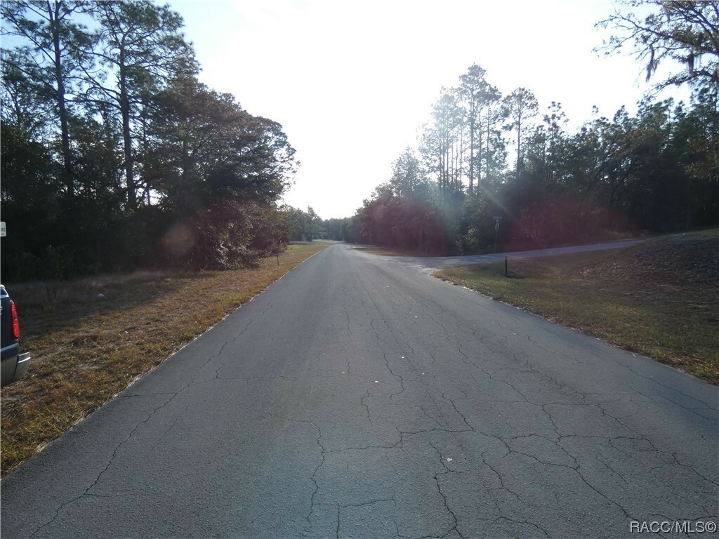 Lot 31 SW 93rd Lane Road  Dunnellon FL 34431 photo