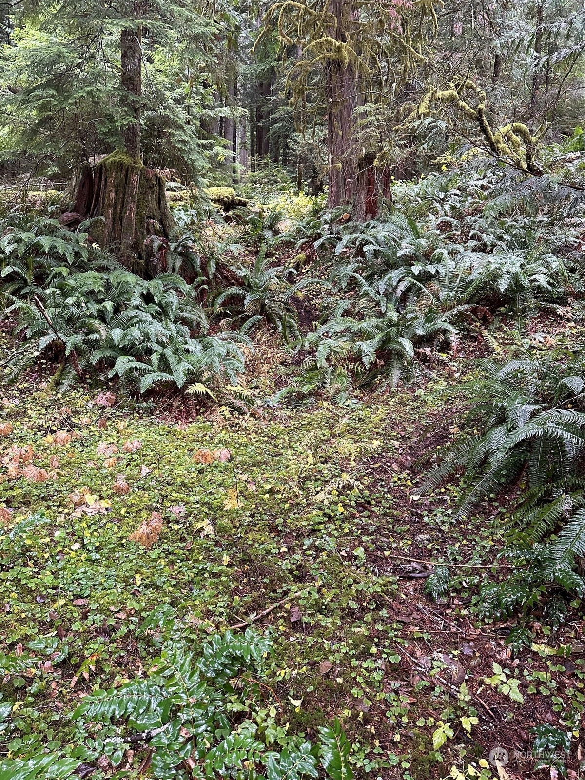 Property Photo:  38219 State Route 706 E  WA 98304 