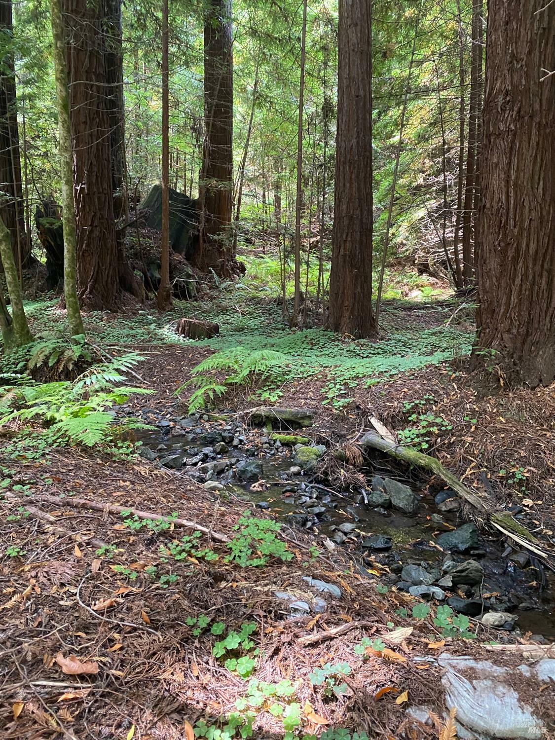Property Photo: 1545 Cazadero Highway CA 95421