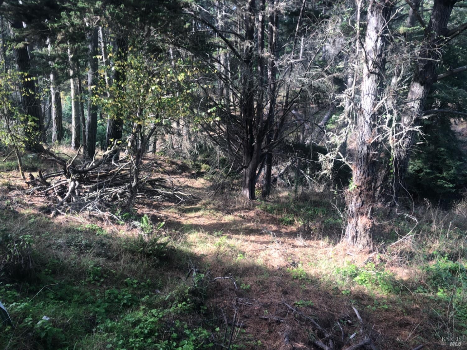 Property Photo:  387 Ocean Parkway  CA 94924 