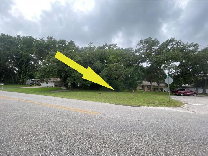 0 Needle Palm Drive  Edgewater FL 32132 photo