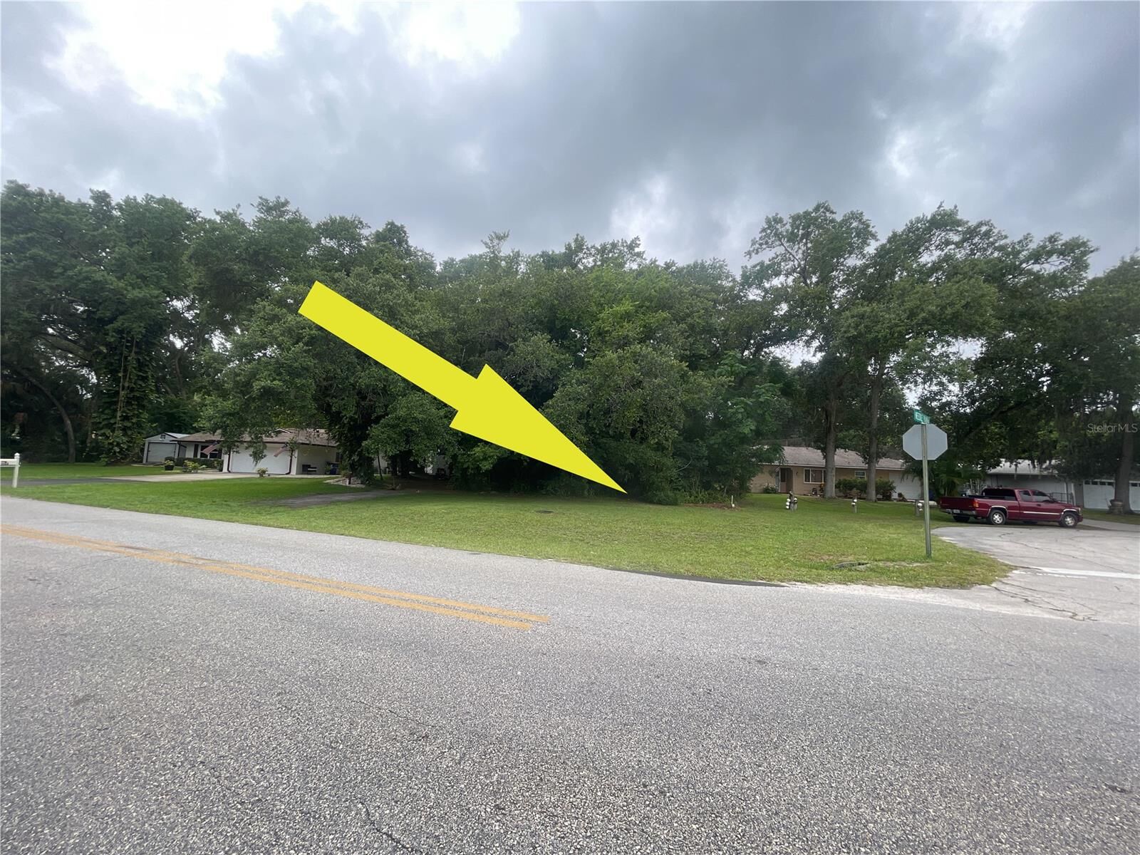 Property Photo: 0 Needle Palm Drive FL 32132