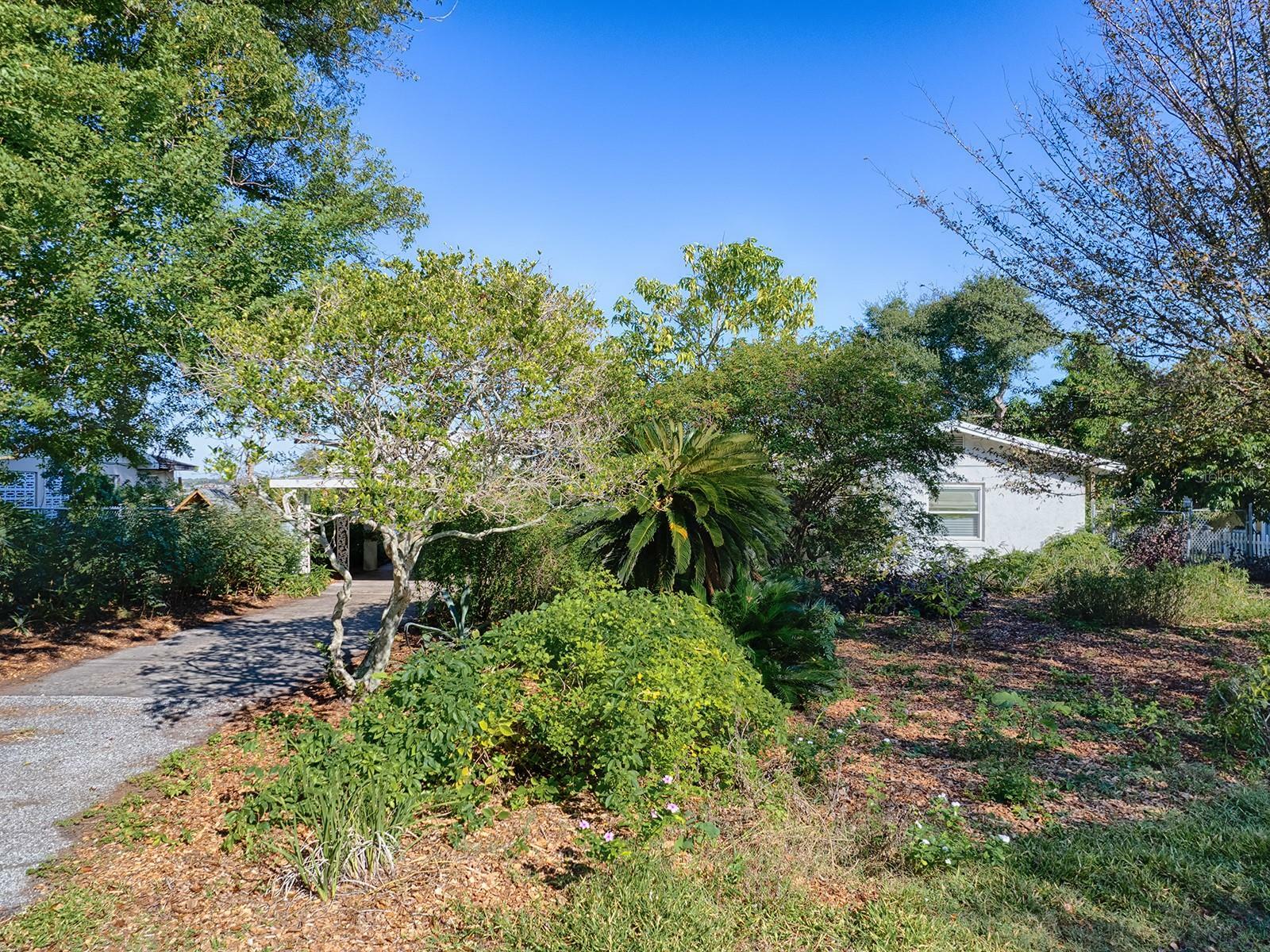 Property Photo:  31317 Saunders Circle  FL 32778 