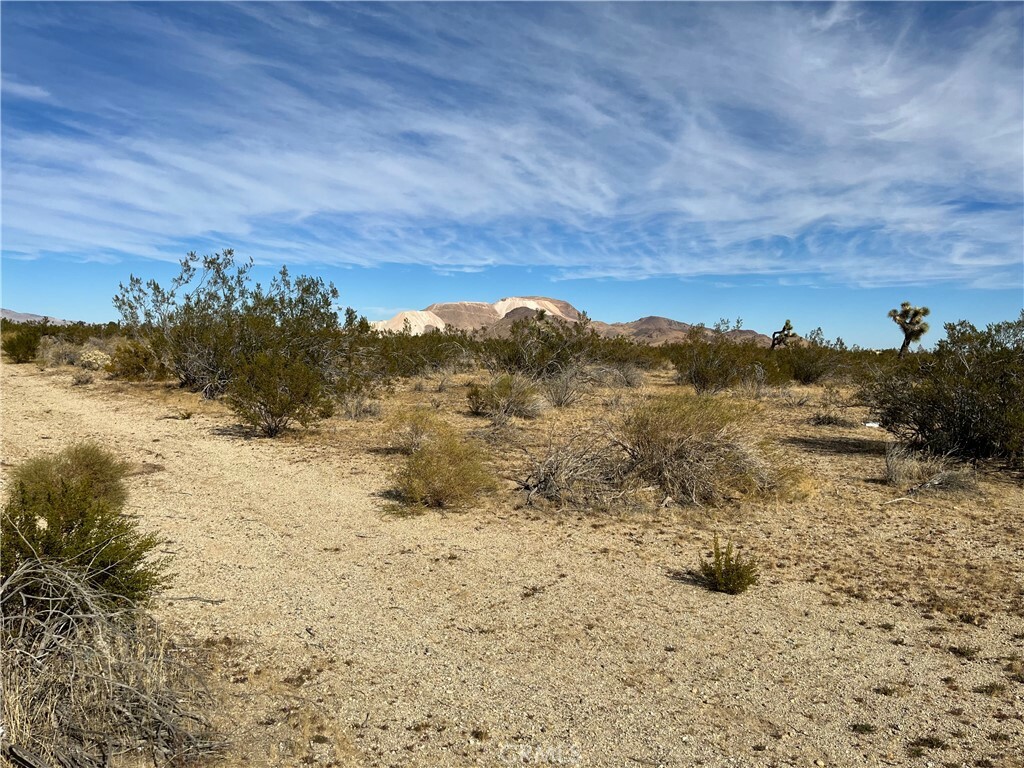 Property Photo: 57 Fickett Ave & 57th W CA 93536