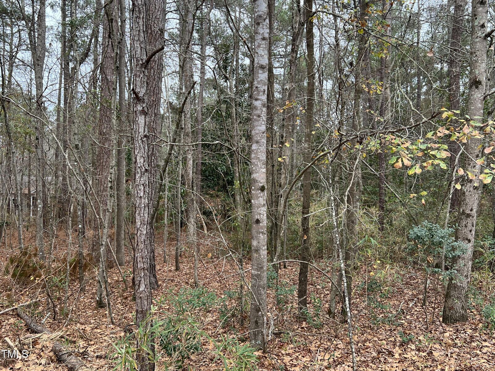 Property Photo:  725 Ginseng Drive  NC 28394 