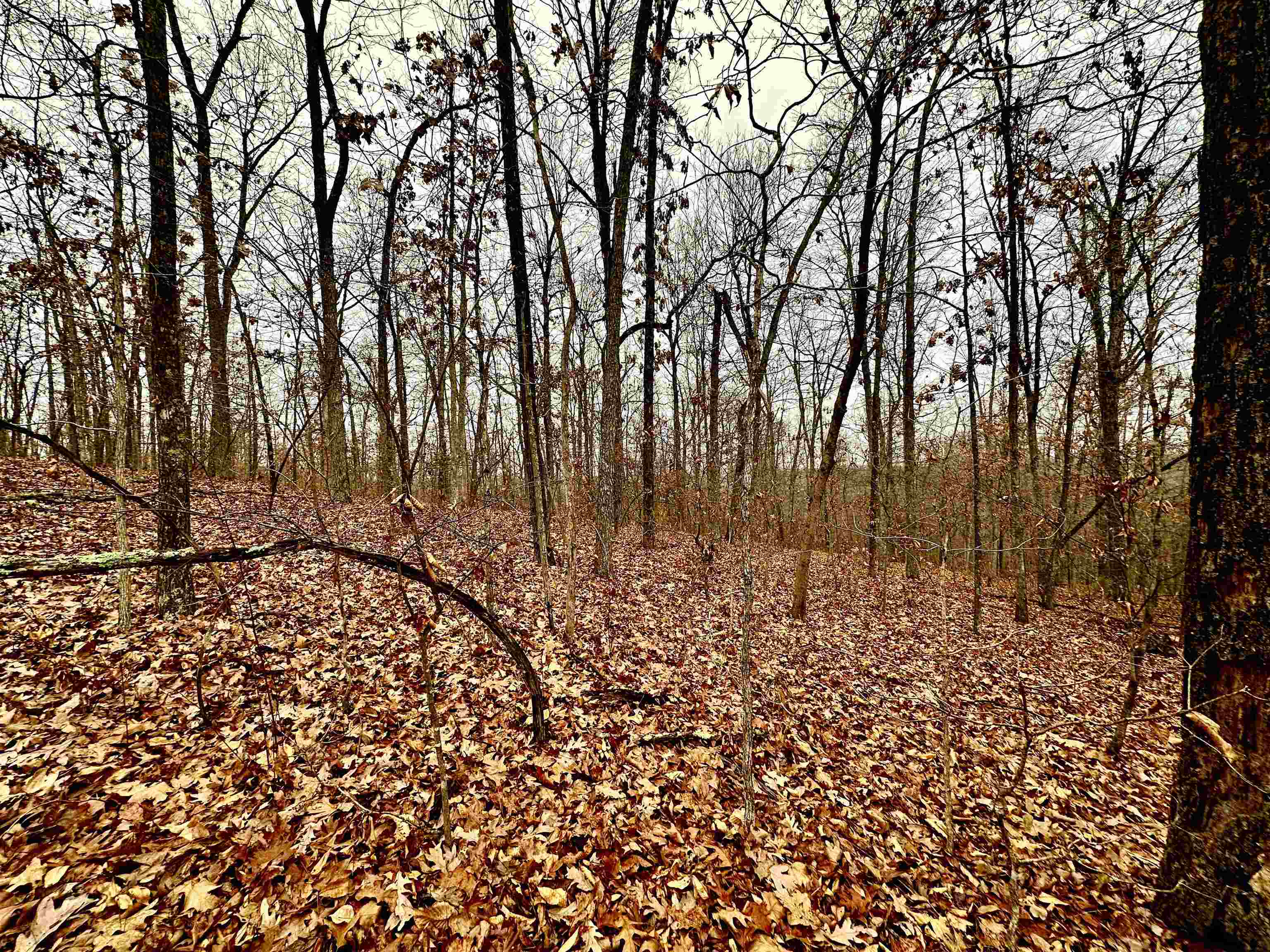 Property Photo:  Lots 151-157 Seminole Drive  AR 72542 