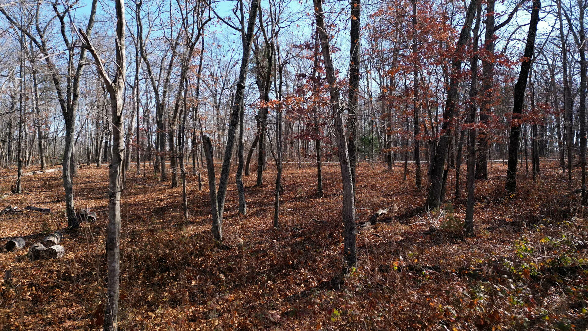 Property Photo:  7911 Hixson Springs Rd 16  TN 37377 