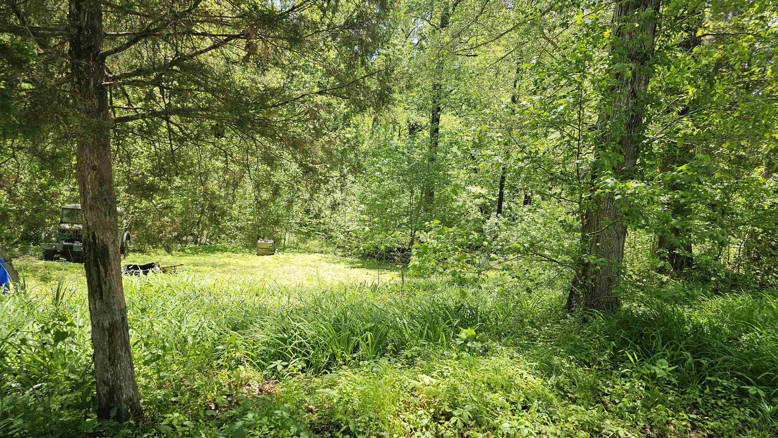Property Photo: 2850 N Negley Rd KY 42420