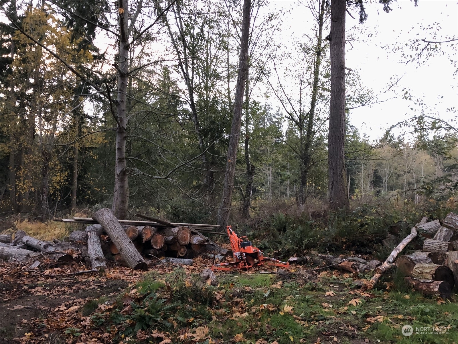 Property Photo: 3029 Raccoon Way WA 98277