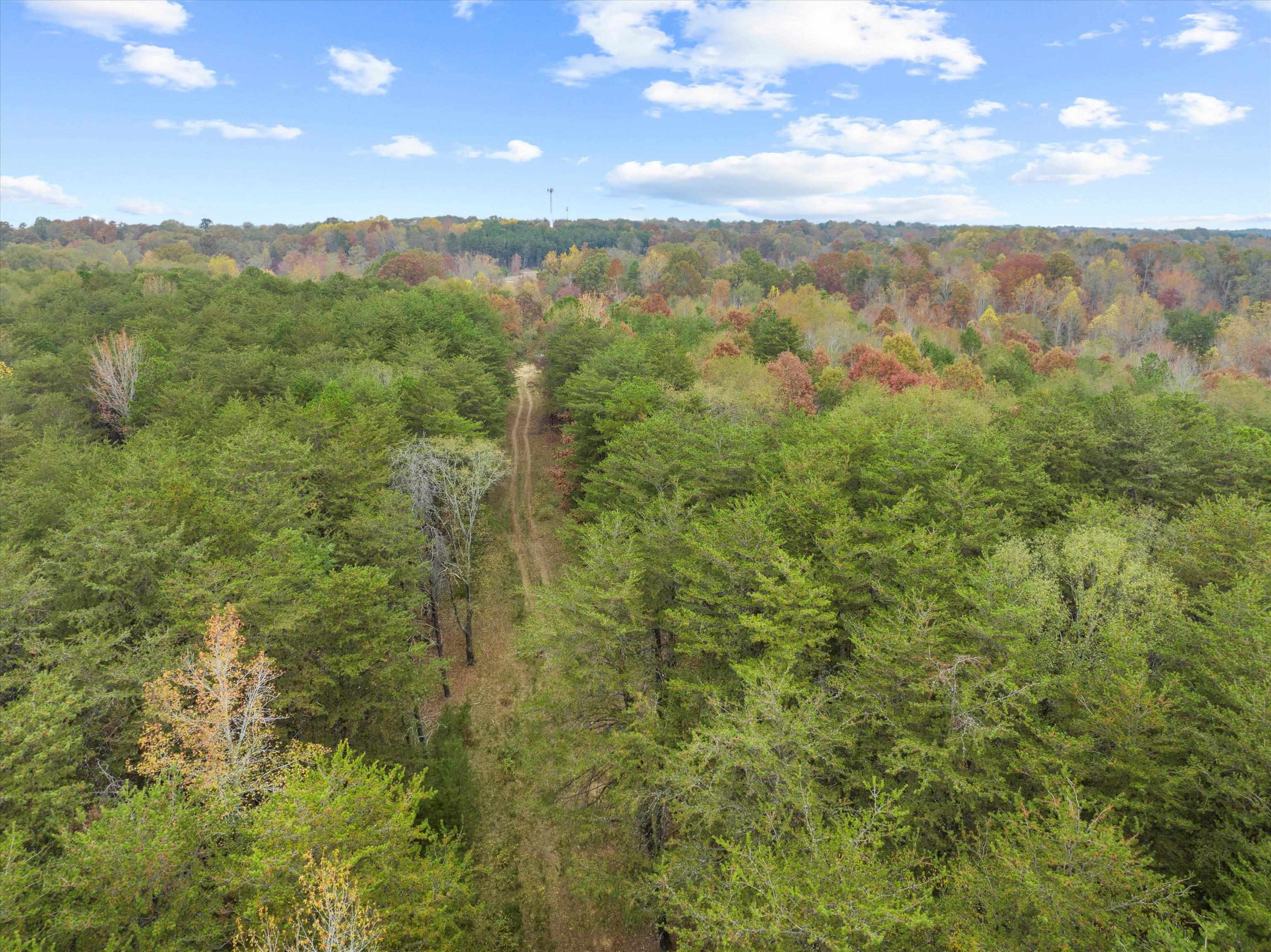 Property Photo:  0 Bobo Lake Road  SC 29369 