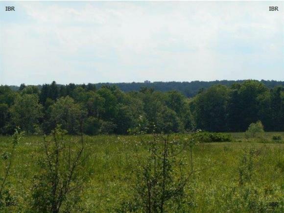 Property Photo:  6060 Searsburg Road  NY 14841 