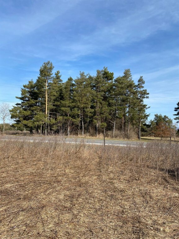 Property Photo:  0 Black Oak Road Lot A  NY 14867 