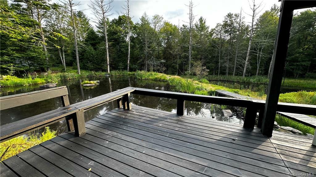 Property Photo:  281 Blind Pond Road  NY 12764 