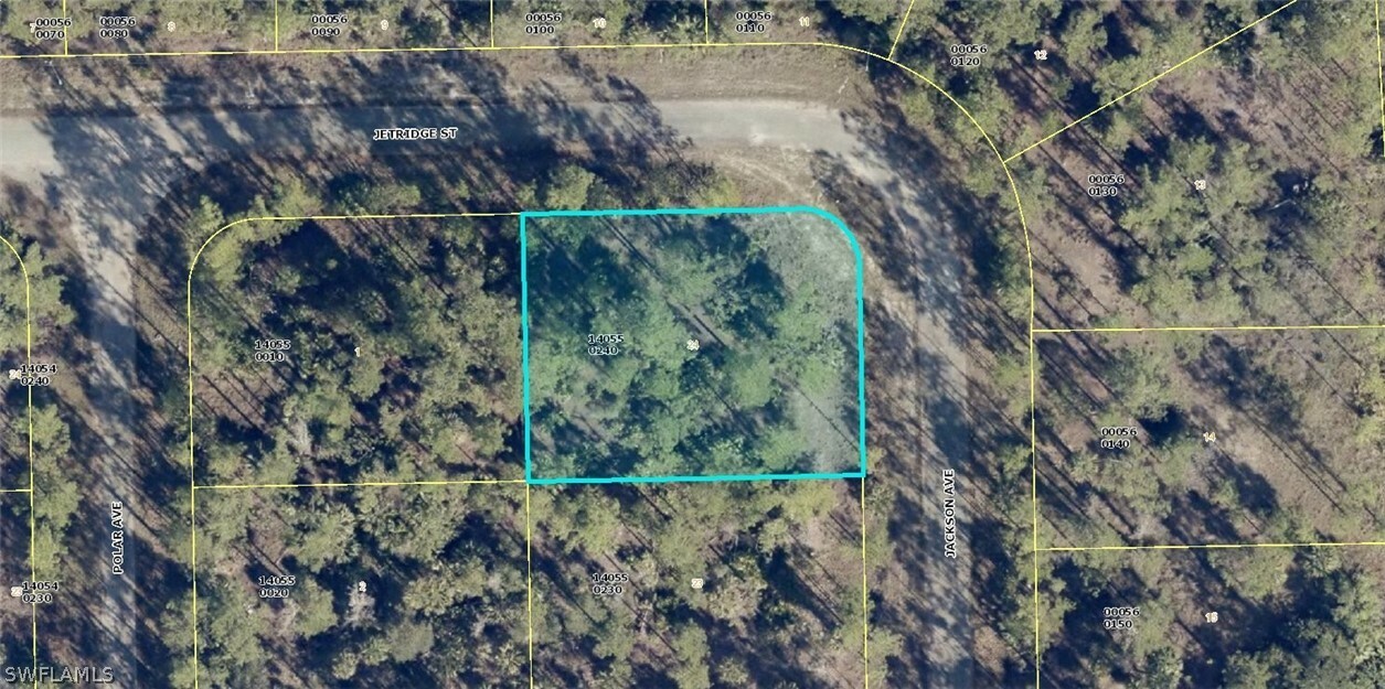 Property Photo:  Corner Lot  FL 33920 