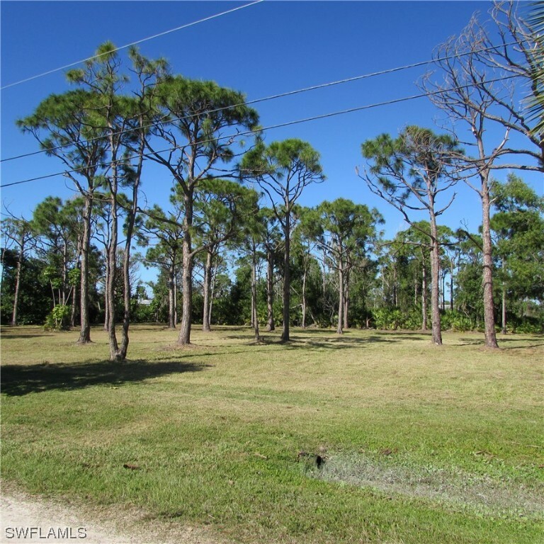 Property Photo:  4652 Courtney Road  FL 33956 