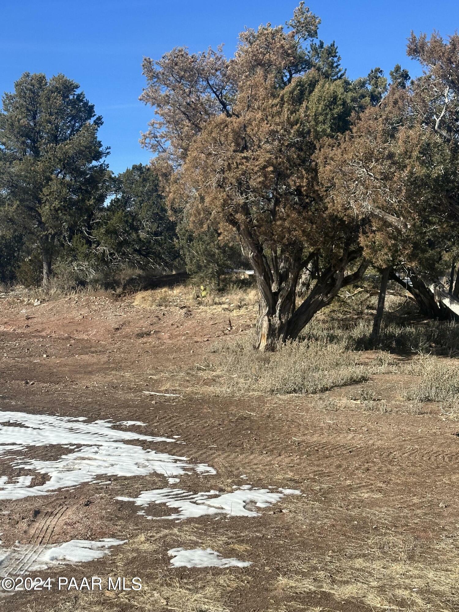 Property Photo:  52084 Calle Ciervo  AZ 86337 