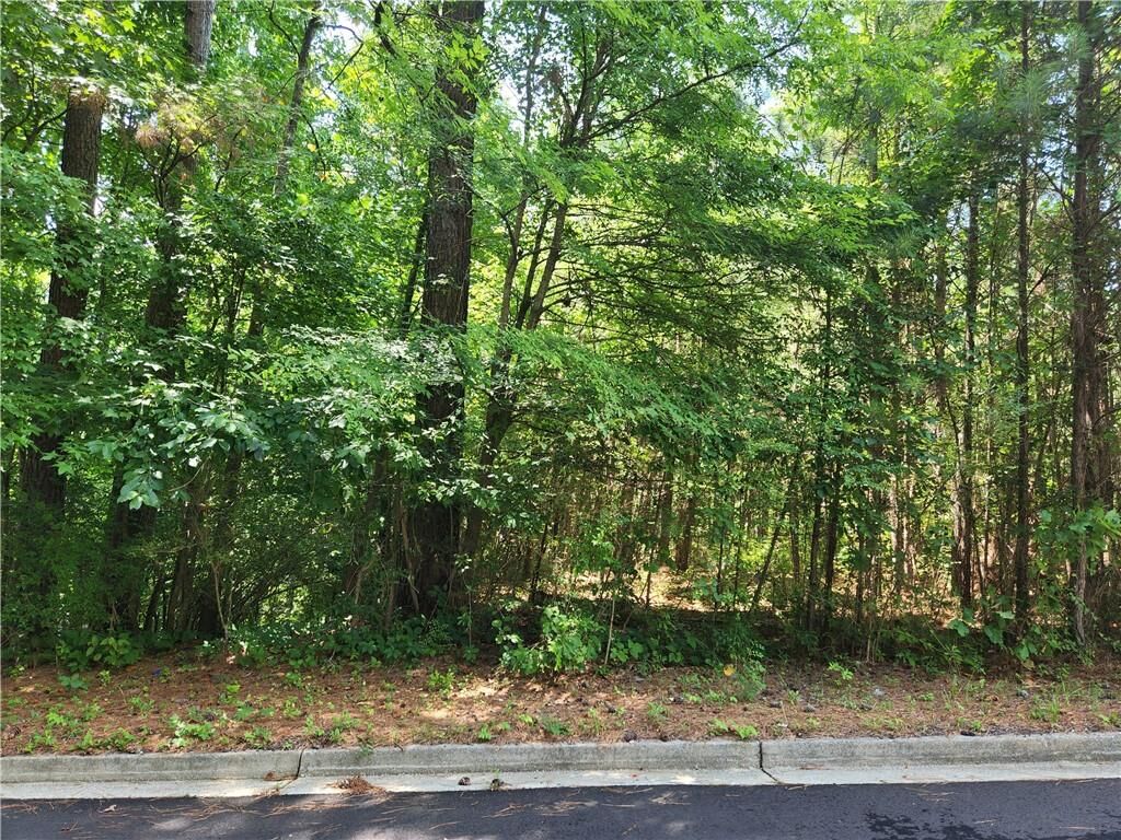 Property Photo: 0 Granada Drive GA 30349