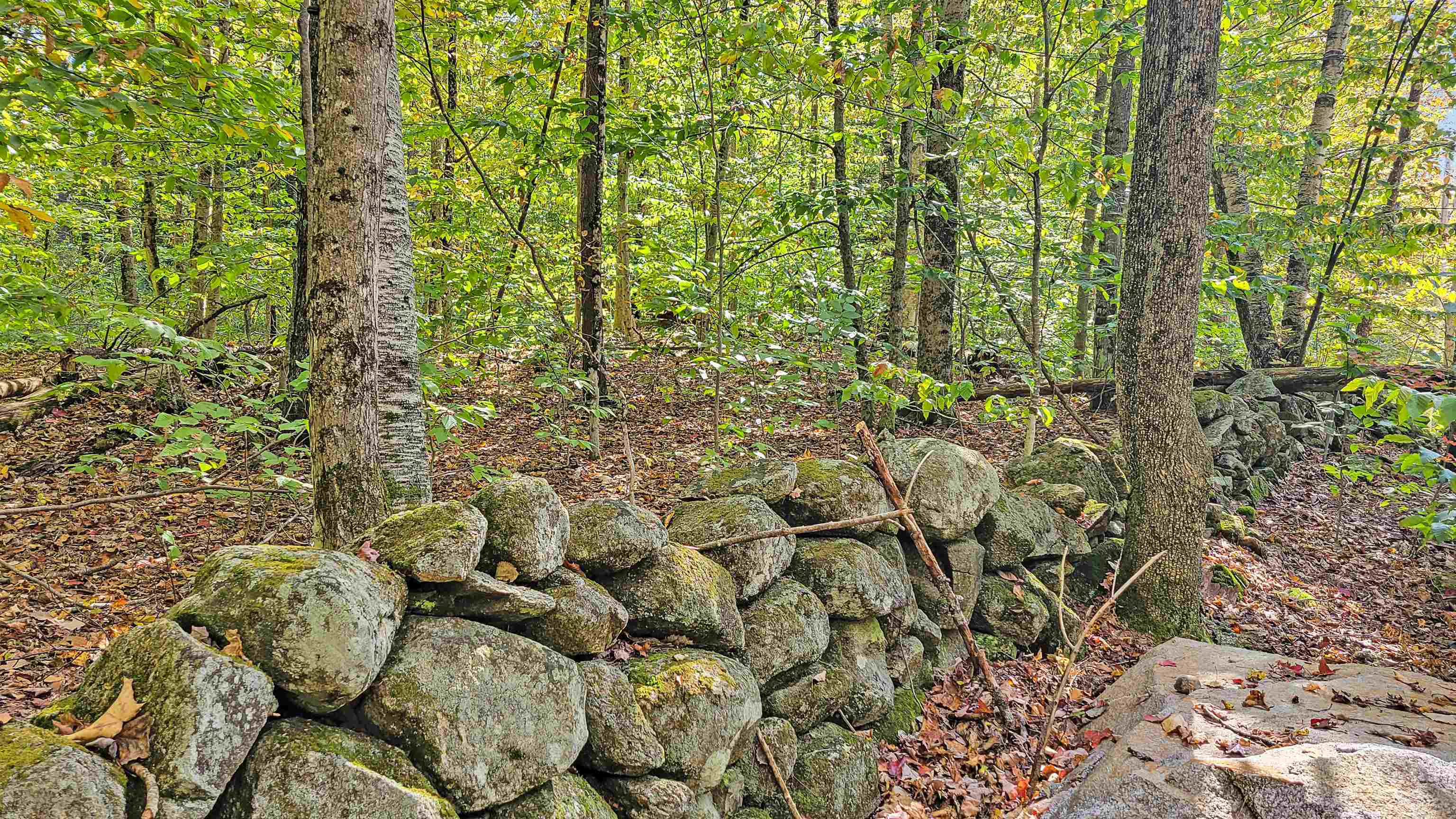 Property Photo: Lot 15 Frescoln Road NH 03282