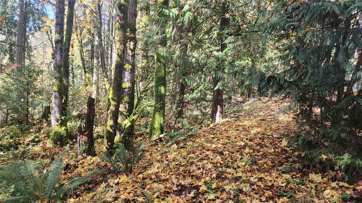 Property Photo: 10225 Xx 174th Avenue SE WA 98059