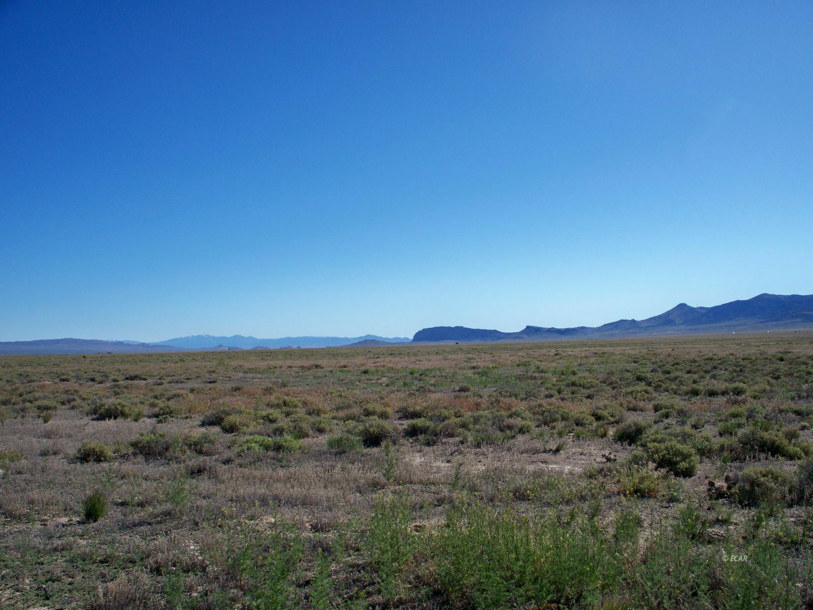 Property Photo: Tbd NV 89830
