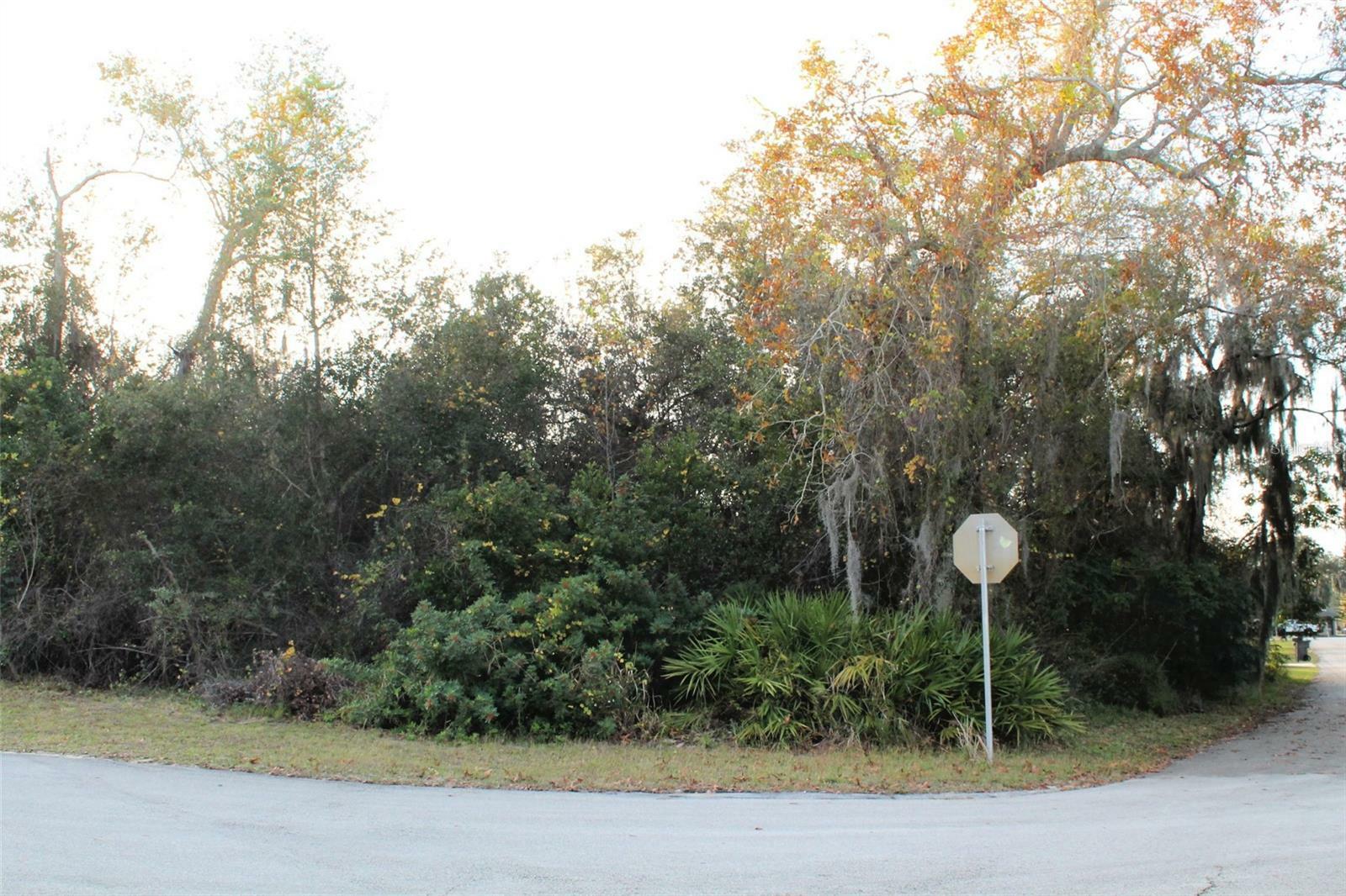 Property Photo: 0 Park Drive FL 33827
