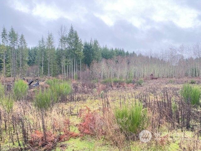 Property Photo: 1890 State Route 603 WA 98565
