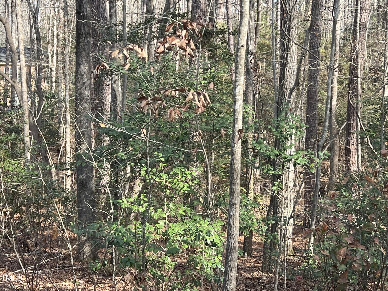 Property Photo:  1007 Windrace Trail N  NC 27330 