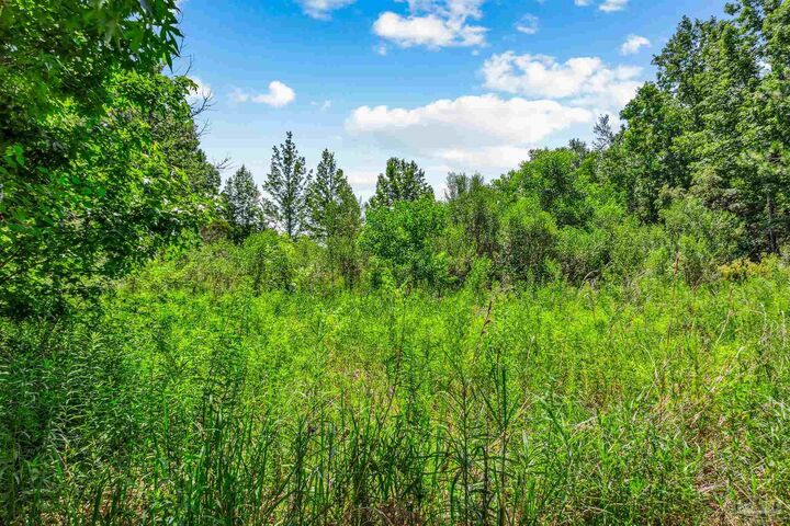 Property Photo: 0000 Fox Quarry Rd FL 32533