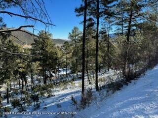 Property Photo:  116 Dipaolo Drive  NM 88345 