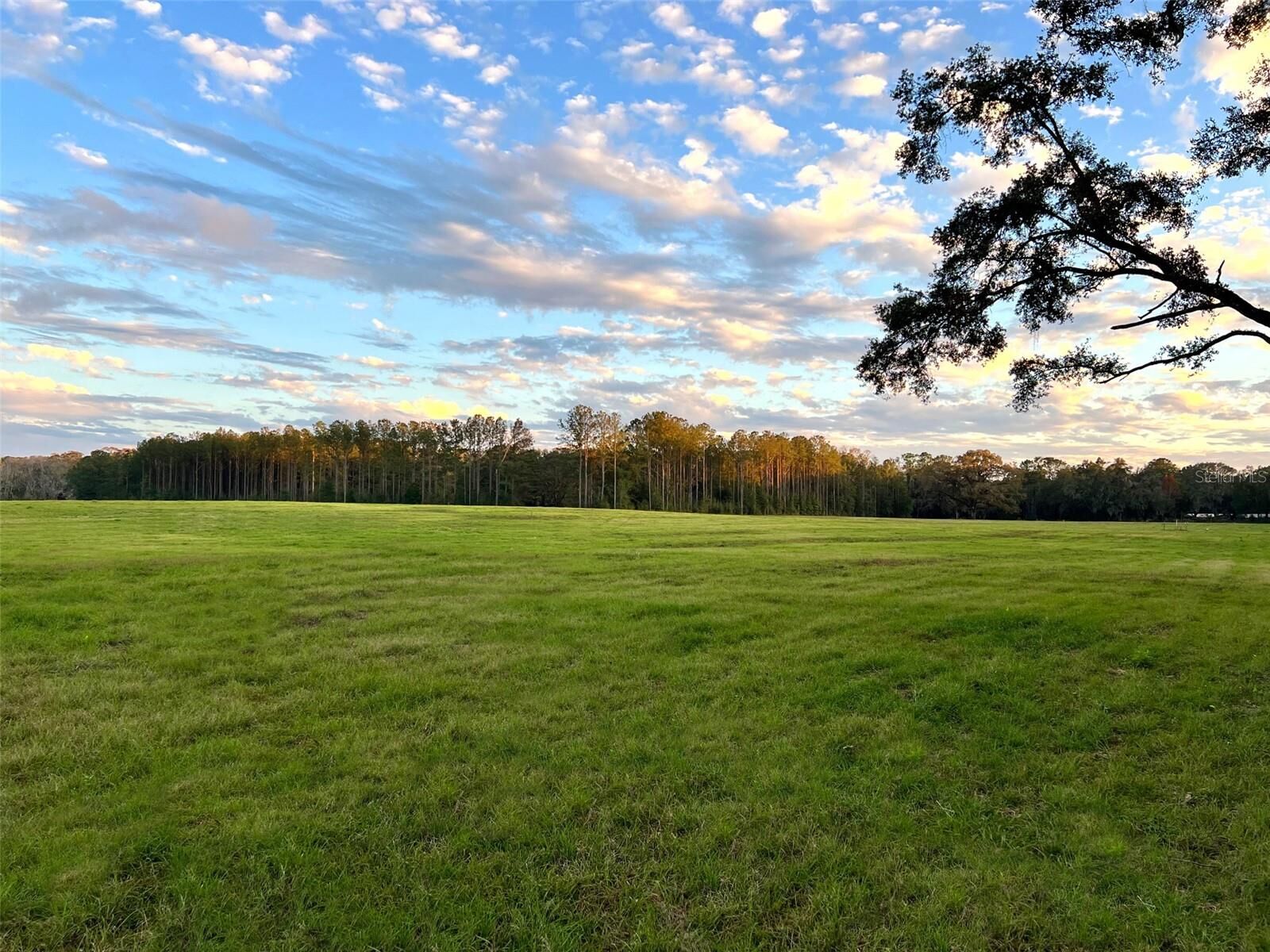 Property Photo:  1464 SW 153rd Drive  FL 32669 