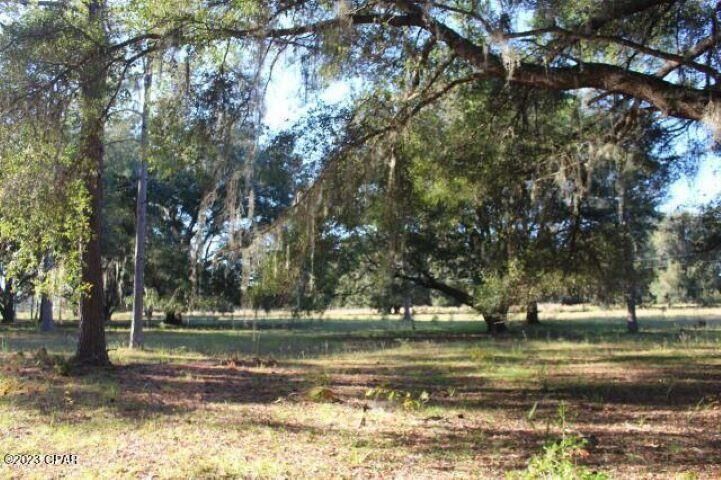 Property Photo:  00 NE 130th Court Road  FL 32134 