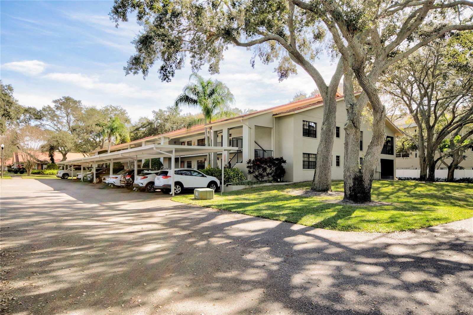 Property Photo: 2020 Lakeview Drive 203 FL 33763