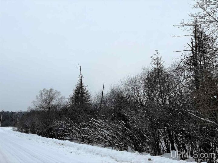 Tbd Mather  Gladstone MI 49837 photo