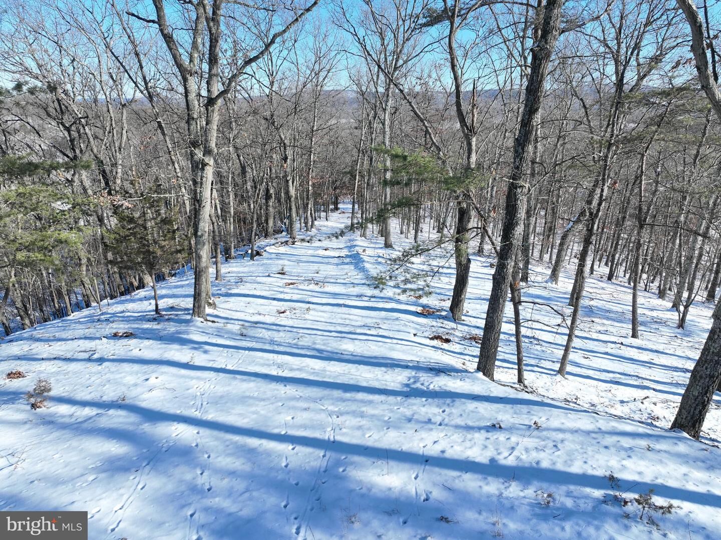 Property Photo:  11.26 Acres Shreves Road  WV 26726 