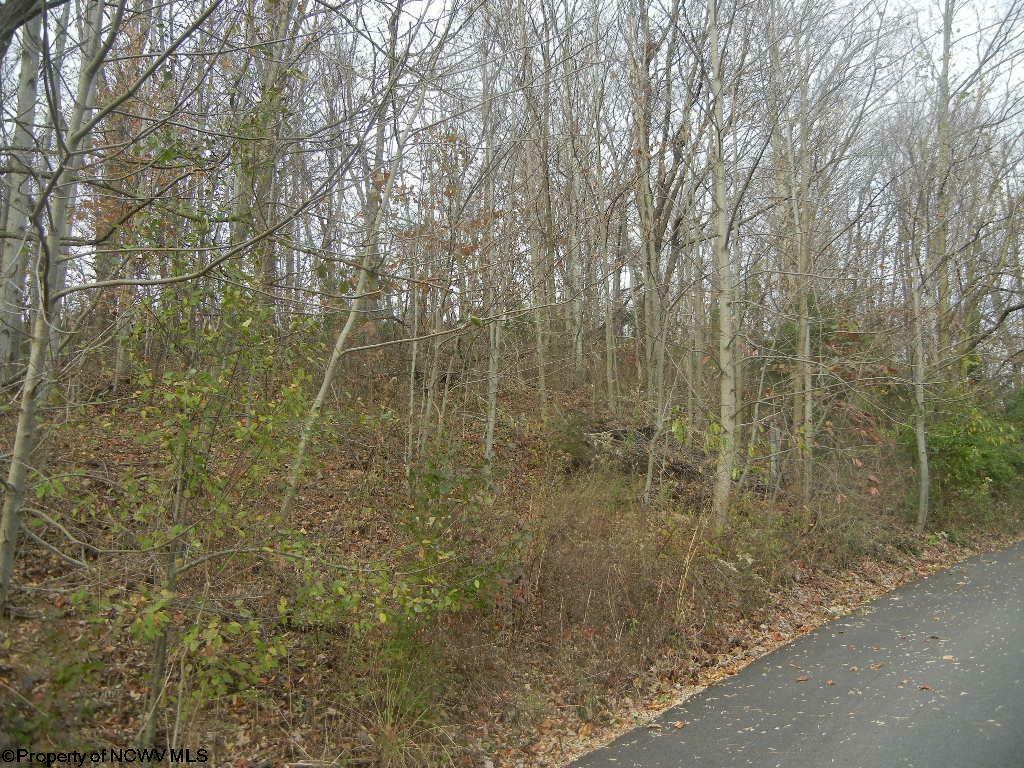 Property Photo:  N-1 Lemley Street  WV 26505 