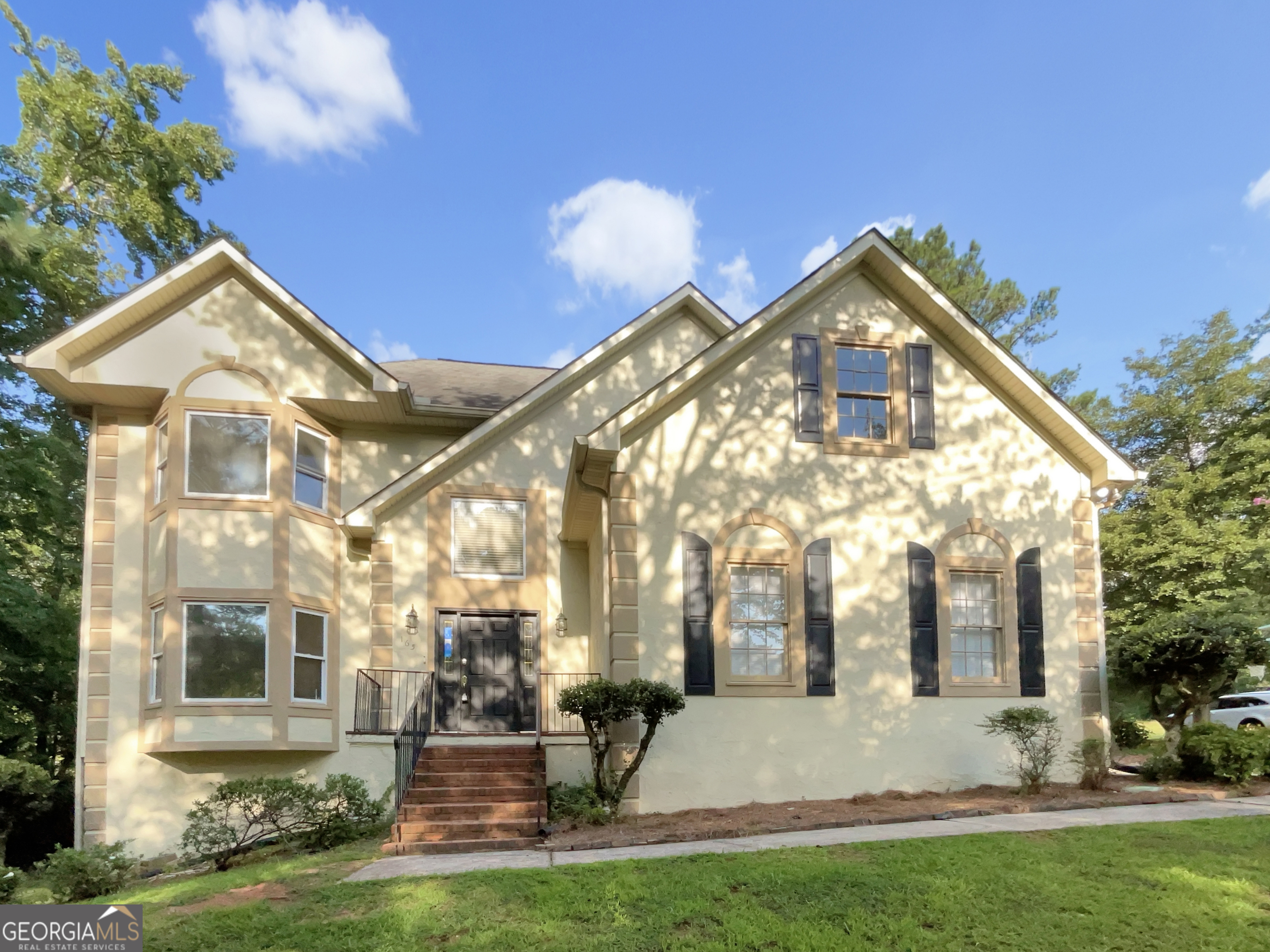 Property Photo:  165 Zelkova Drive  GA 30215 