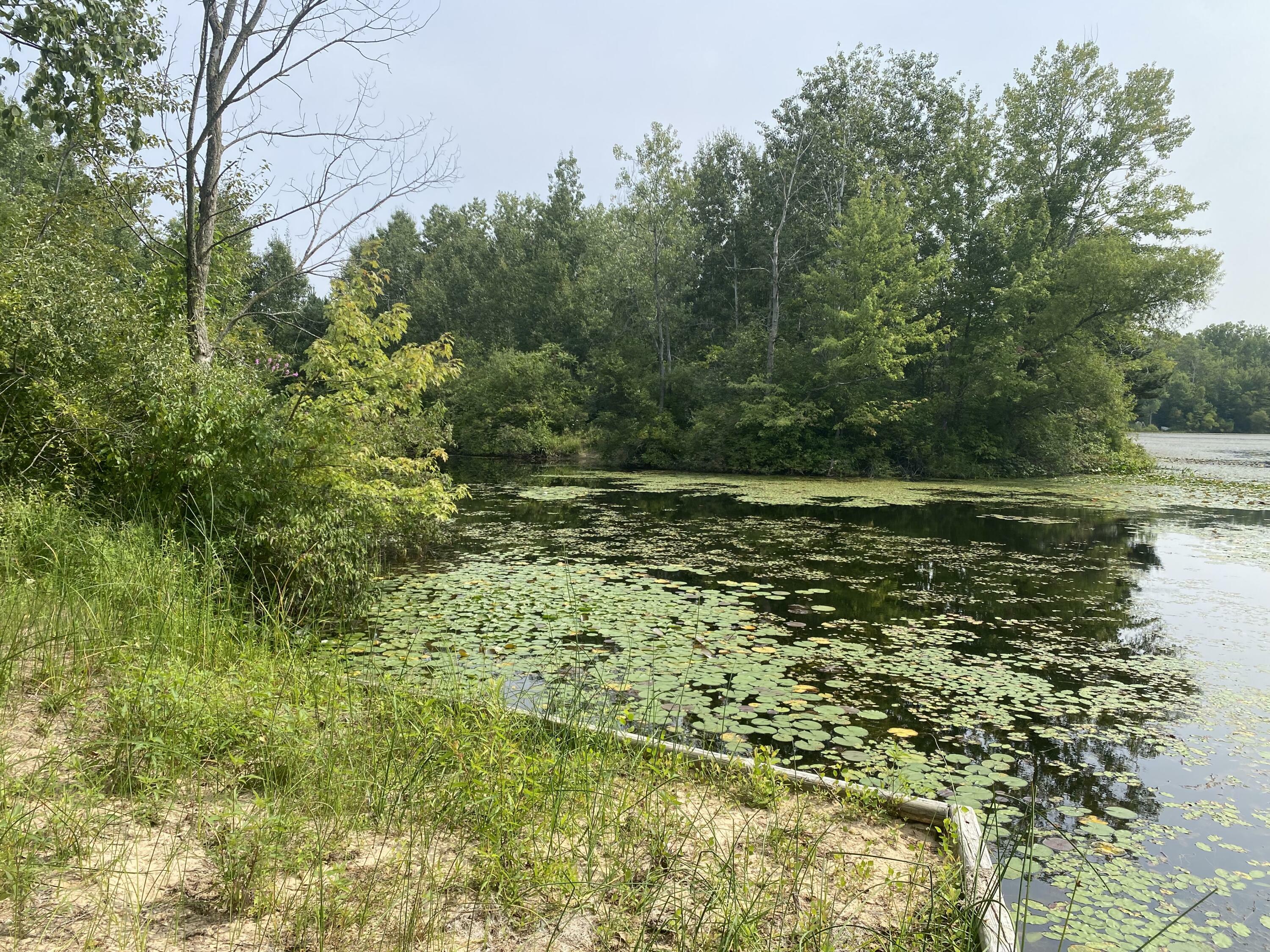 Property Photo:  #59 Westshore Drive  MI 49452 