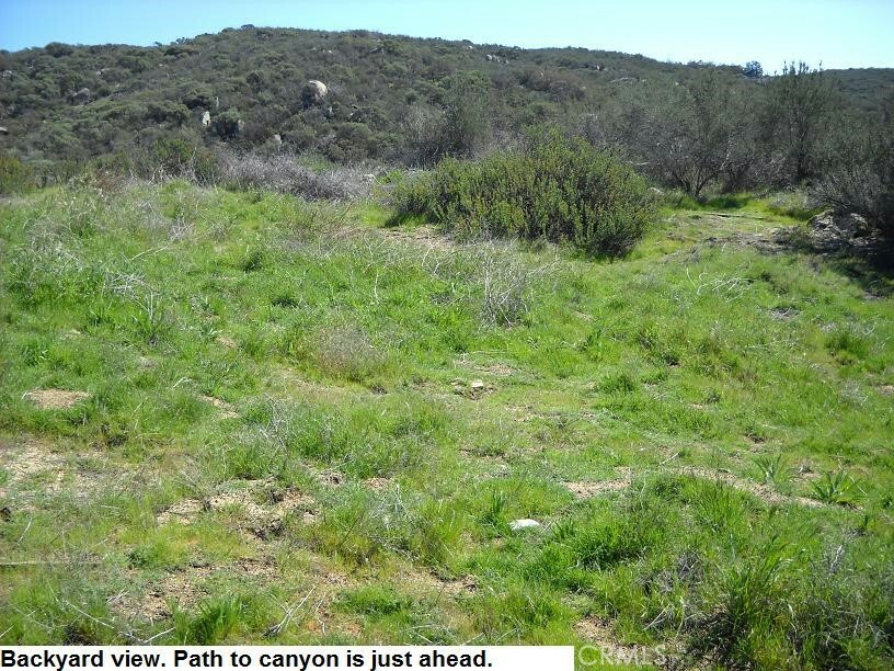 Property Photo:  0 Doe Ln  CA 92543 