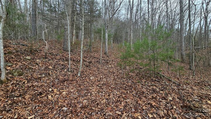 Property Photo:  Lot 14 Seay Mountain Road  NC 28785 