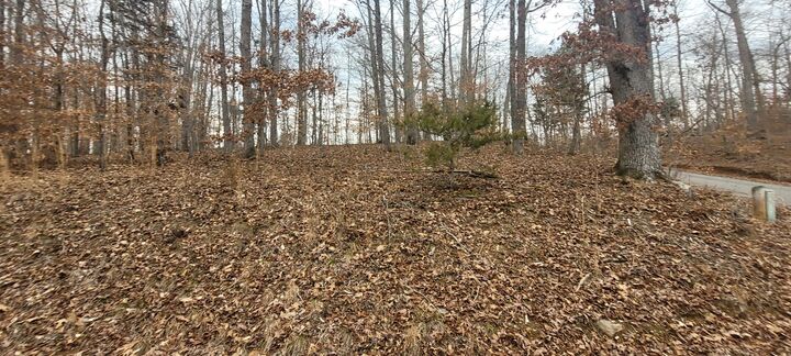 Property Photo: 1 Lakeshore Cir TN 37028