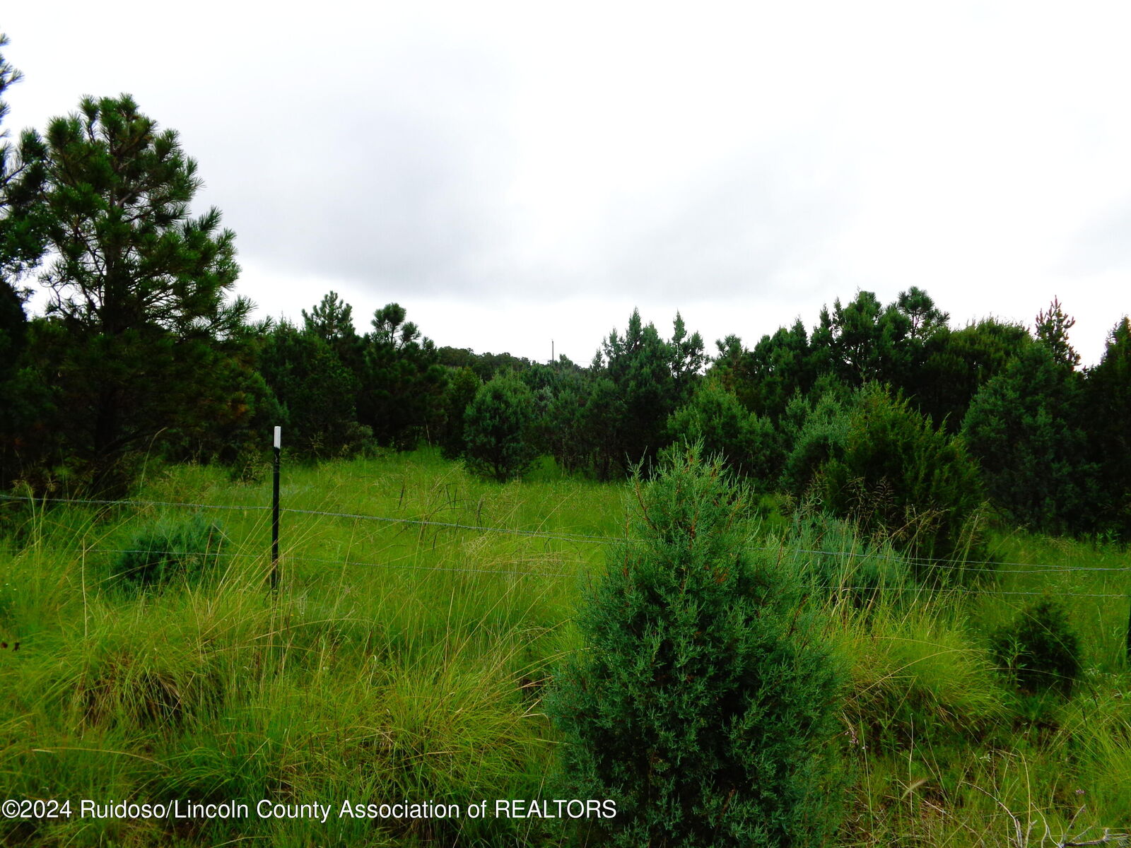Property Photo:  Tract 2 State Highway 220  NM 88312 