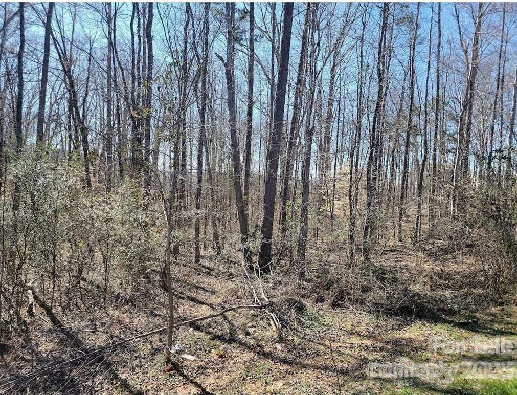 Property Photo: 4600 Tbd Waxhaw Marvin Road NC 28173