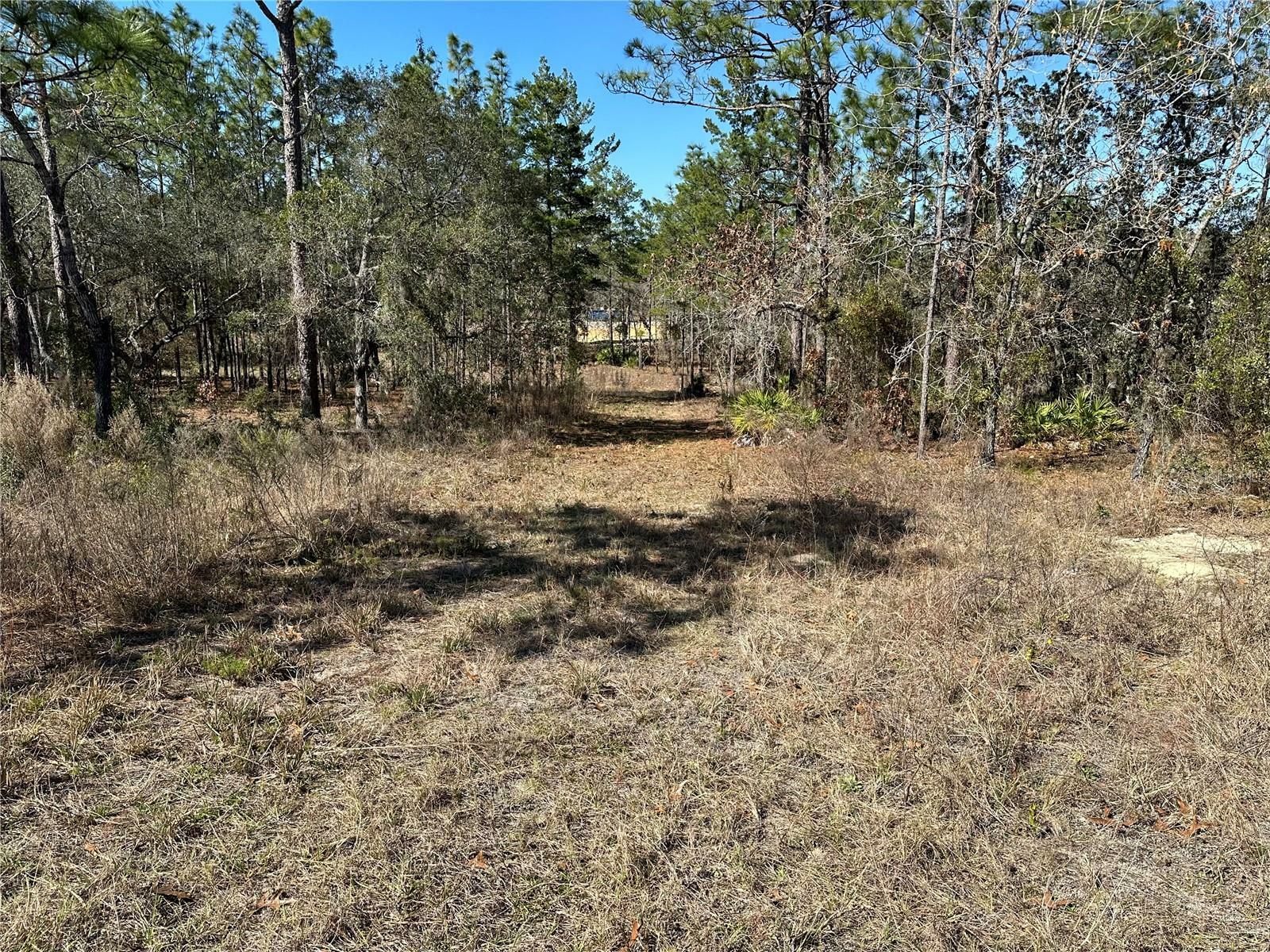 Property Photo:  228 Linder Drive  FL 34446 