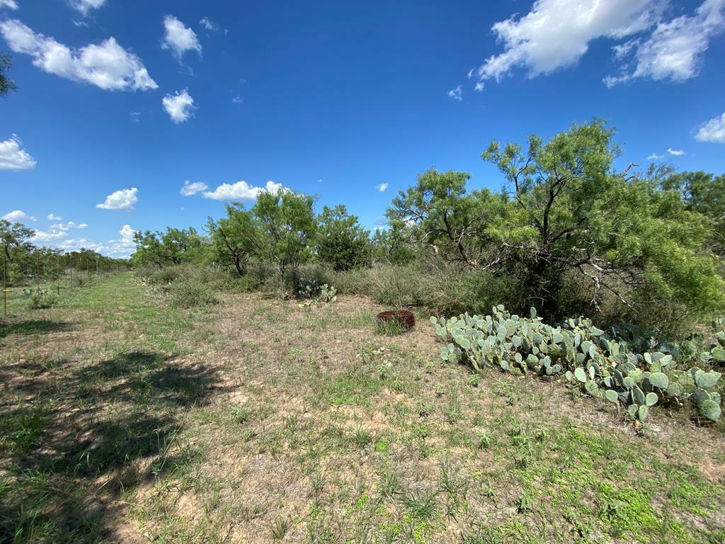 Property Photo:  Tract 16 Jack Rabbit Rd  TX 78618 