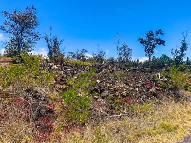 Property Photo:  Pineapple Pkwy  HI 96737 